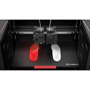 Raise3D E2 Independent Dual Extruders Auto-Leveling Desktop 3D Printer - MachineShark